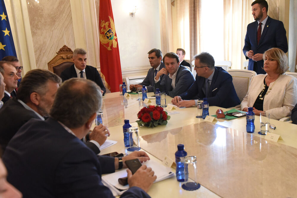 Skupštinska predstavnici partija, Foto: Savo Prelević