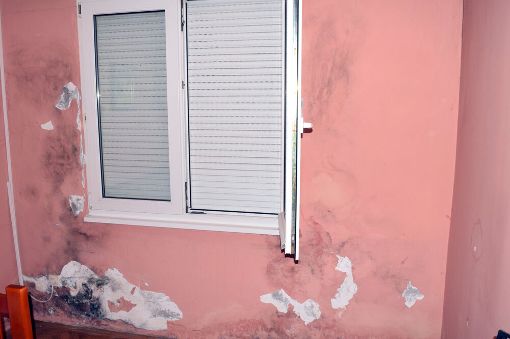 Tri junice, zgrada Zagorič, Foto: Zoran Đurić