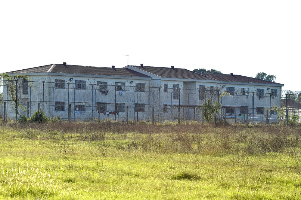 ZIKS, Foto: Boris Pejović