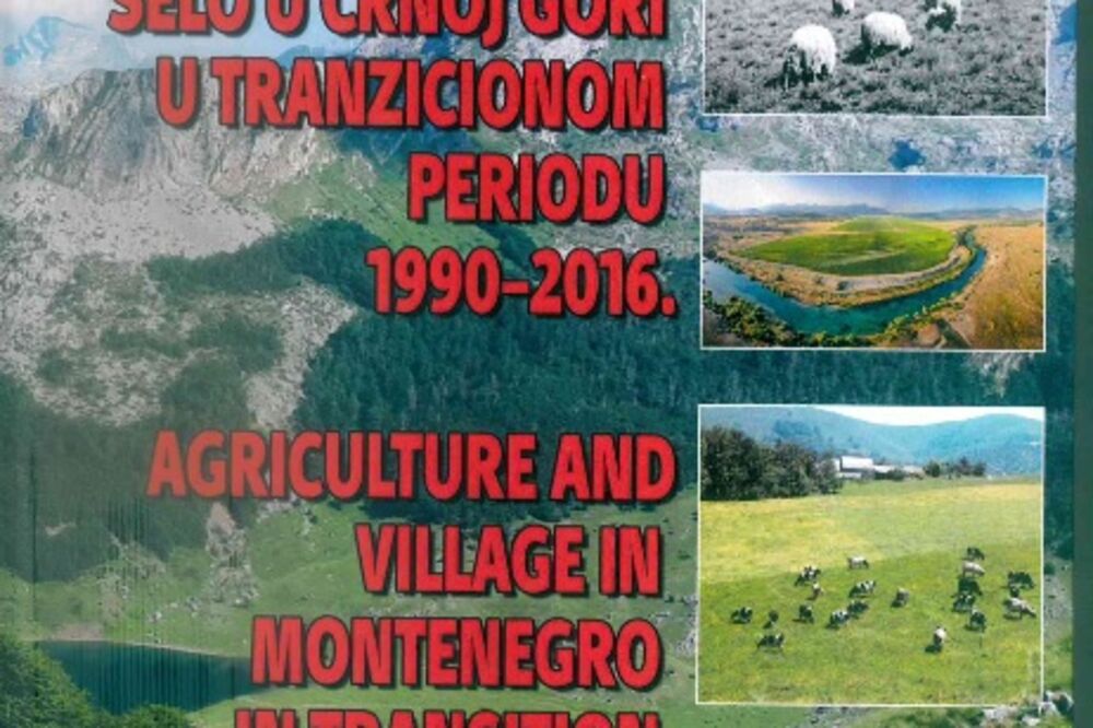 Čedomir Marović, knjiga