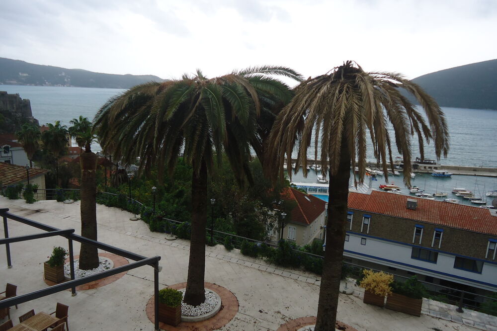 Herceg Novi palme, Foto: Slavica Kosić