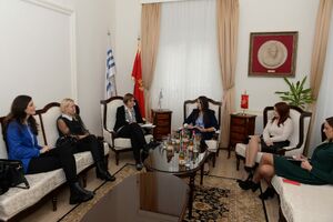 Novinarka "Vijesti" nagrađena za istaživačku priču u oblasti rodne...