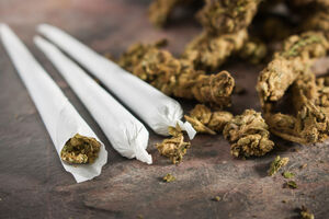 Previše narudžbina: U Kanadi već nestašica marihuane