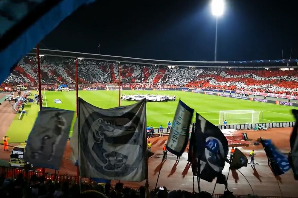 Zvezda-Napoli, navijači, koreografija, Foto: Printscreen