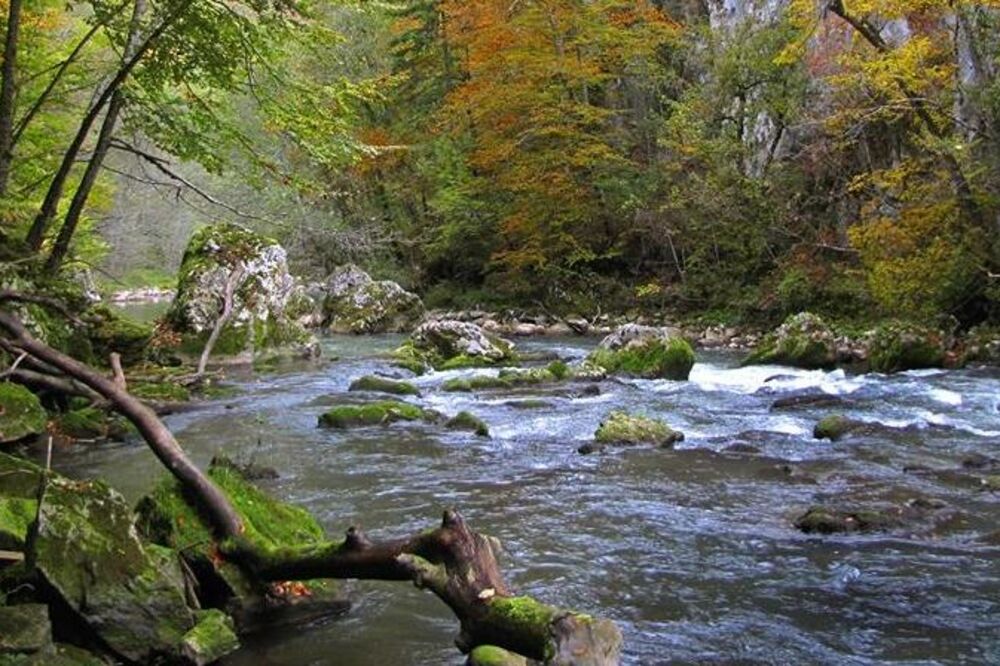 Ćehotina, Foto: SRK Lipljen