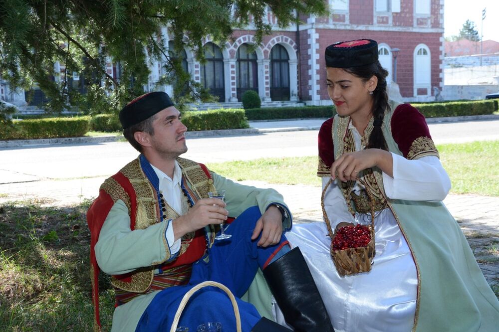 Dani drenjina, Foto: NVO Dani drenjina