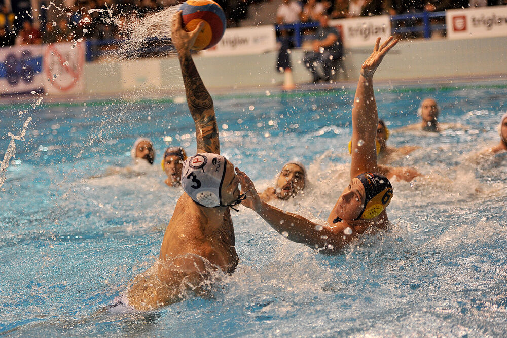 Damir Crepulja, Foto: Savo Prelević