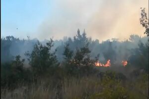 Požar u Rogamima i dalje aktivan, vatra ne prijeti kućama