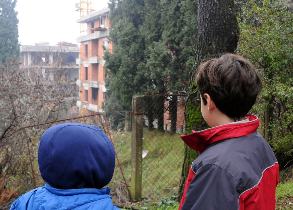 sječa drveća Podgorica