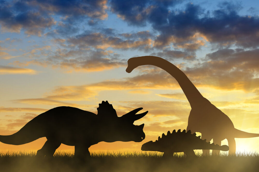 dinosaurus, dinosaurusi, Foto: Shutterstock