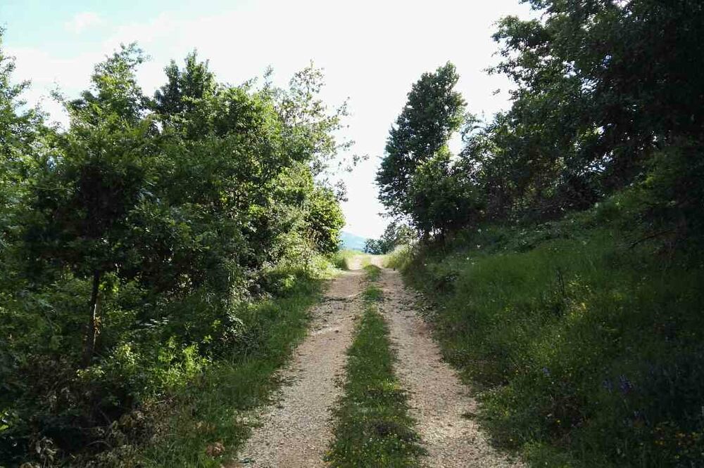 vremenska prognoza, priroda, Piva, Foto: Dušan Cicmil