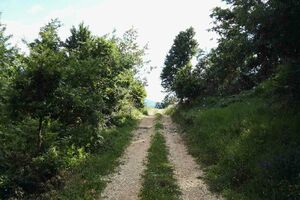 Pretežno sunčano, do 32 stepena