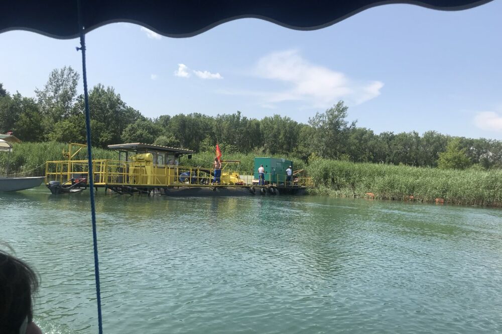 Račva, Foto: Samir Adrović