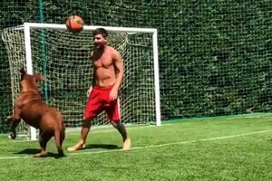 Mesi bez milosti i prema kućnom ljubimcu: Hulk nije znao gdje je...