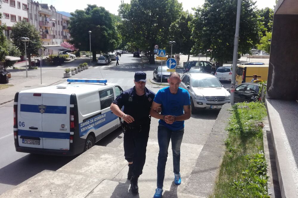 Milan Brajović, Foto: Jelena Jovanović