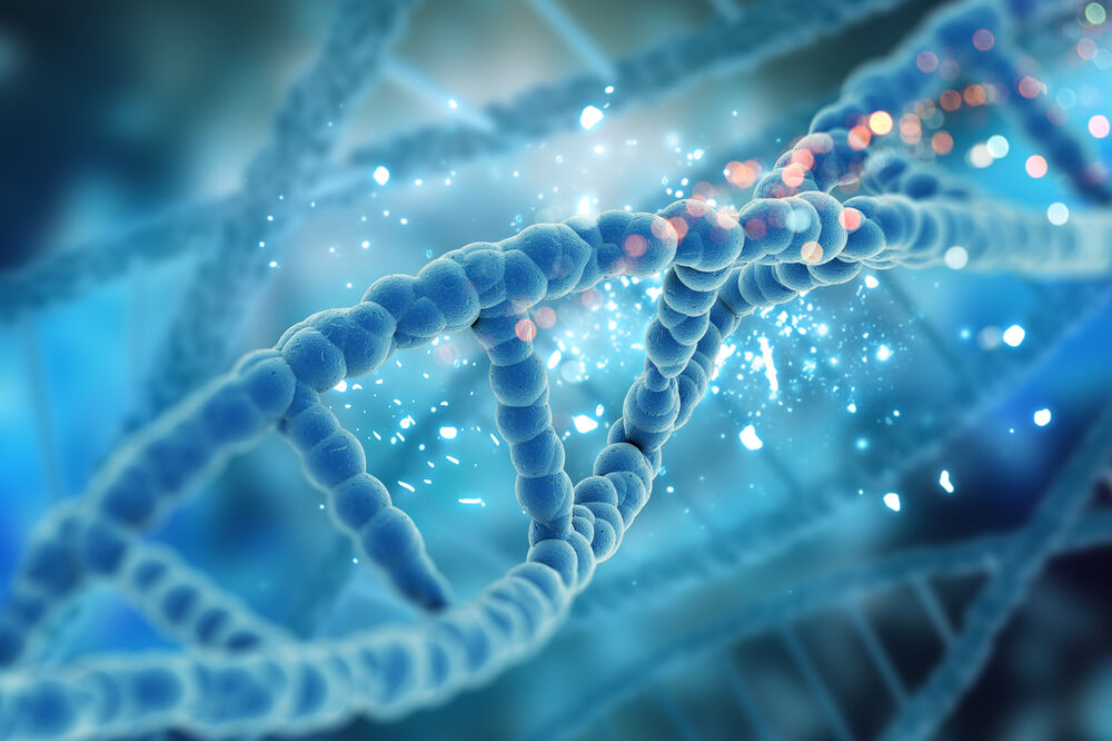 DNK, Foto: Shutterstock