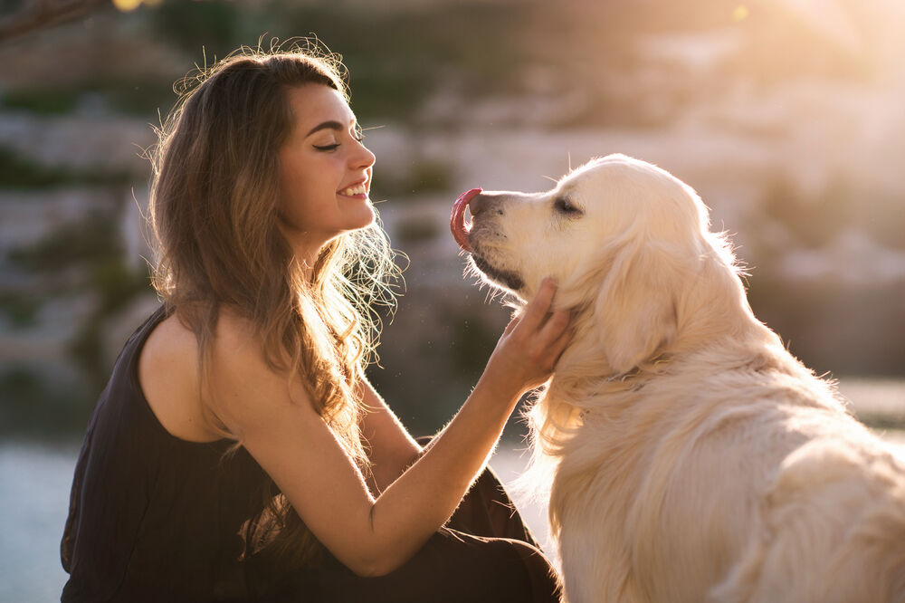 ljubimac, pas, Foto: Shutterstock