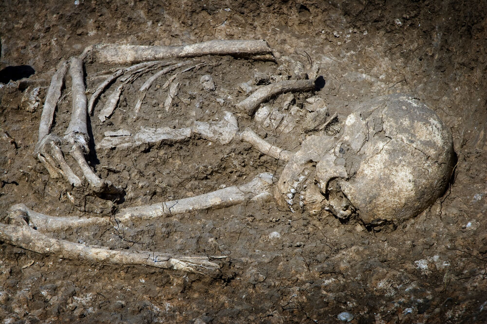 skelet, kostur, Foto: Shutterstock