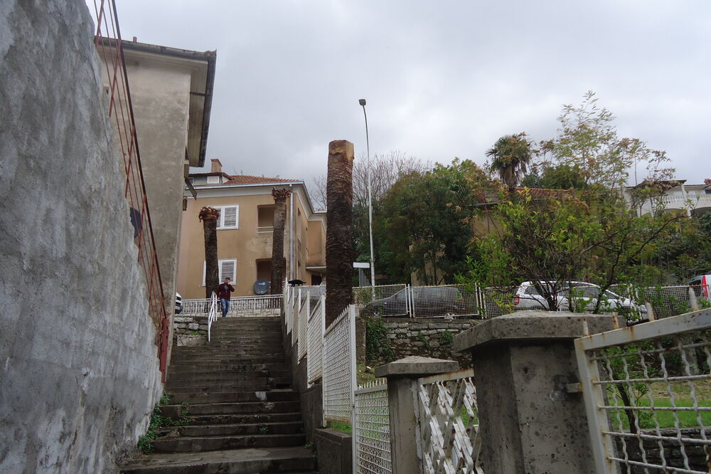 palim surlaš, Herceg Novi, Foto: Slavica Kosić