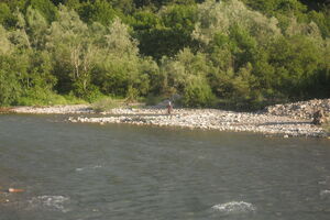 Pao u Taru sa mosta, policija ga spasila