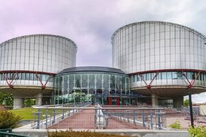 Protokol bi spriječio brojne tužbe pred Strazburom