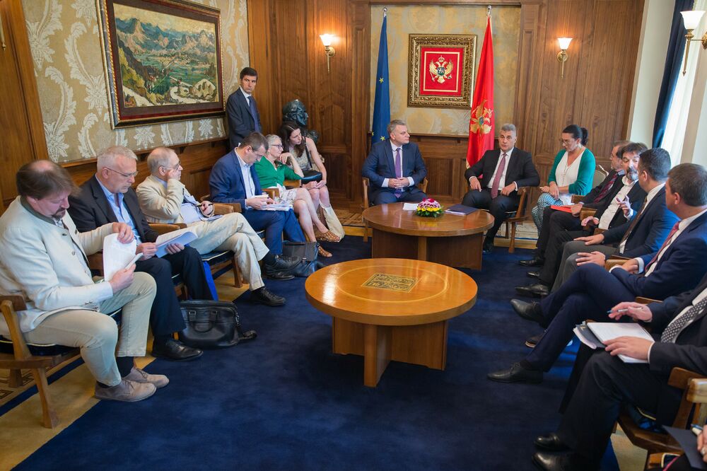 Ivan Brajović, poslanici EP, Foto: Skupština Crne Gore