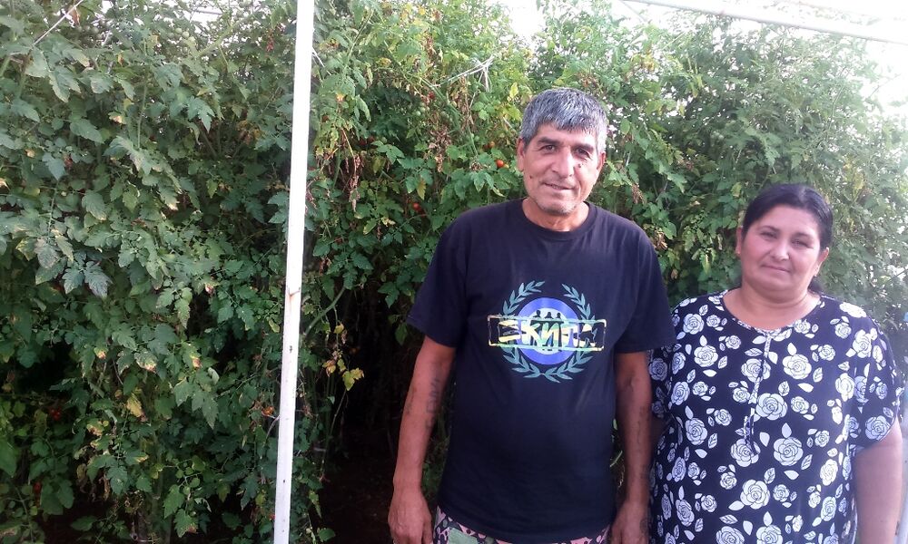 Radaj Gani, Serveta Hasaj