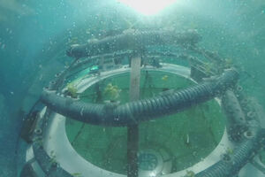 Budućnost je stigla: Pogledajte priču o podvodnim staklenicima