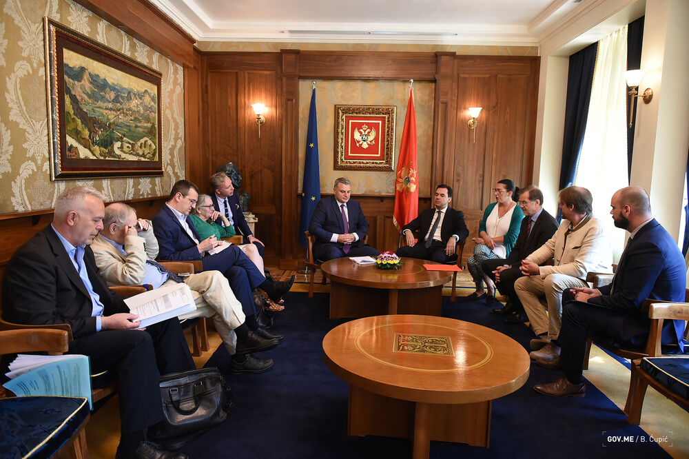 Zoran Pažin, Delegacija Evropski parlament, Foto: Vlada Crne Gore