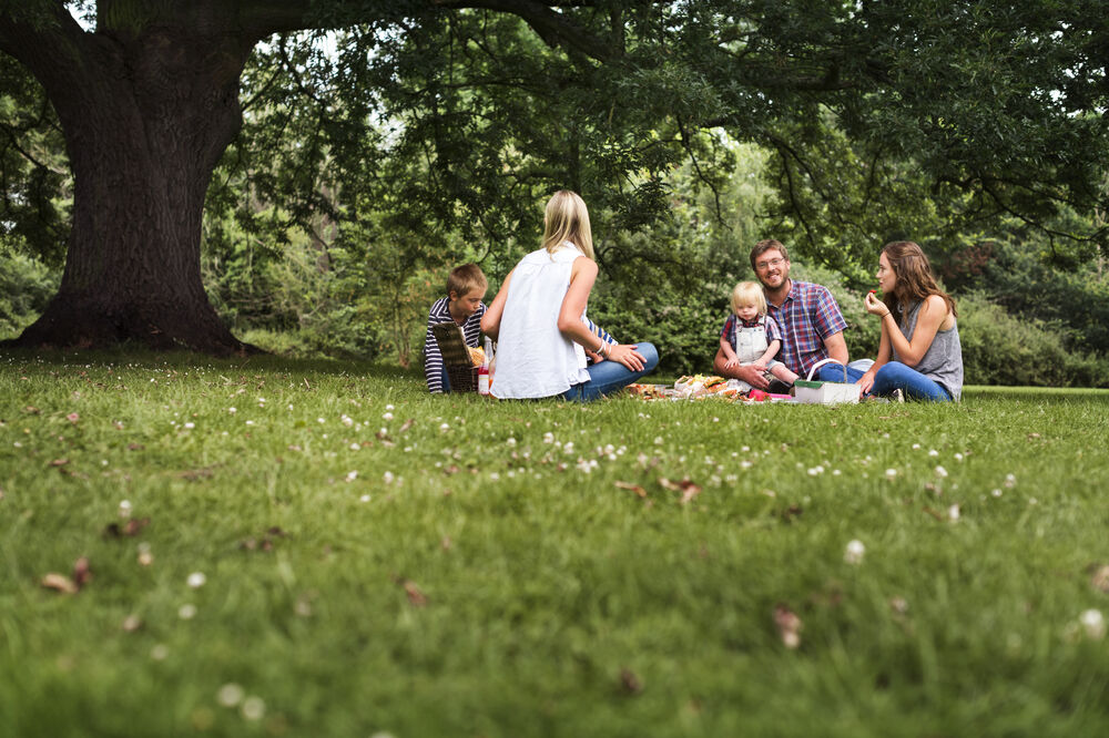 piknik, porodica, Foto: Shutterstock
