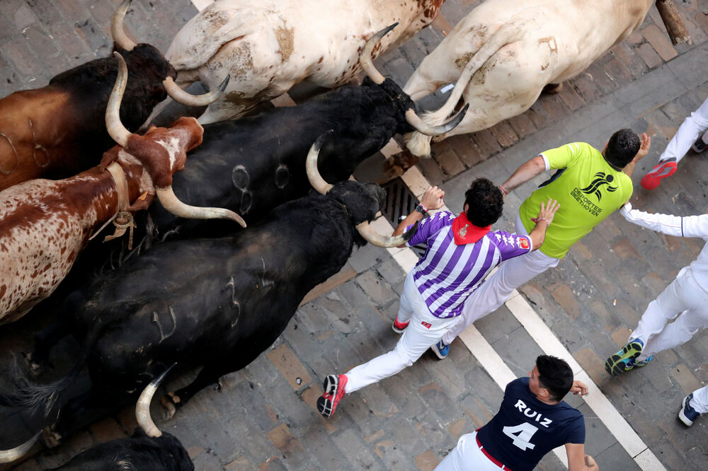 Pamplona, trka s bikovima, Foto: Reuters