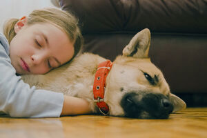 Da li spavate pored svog psa i kakav san imate?