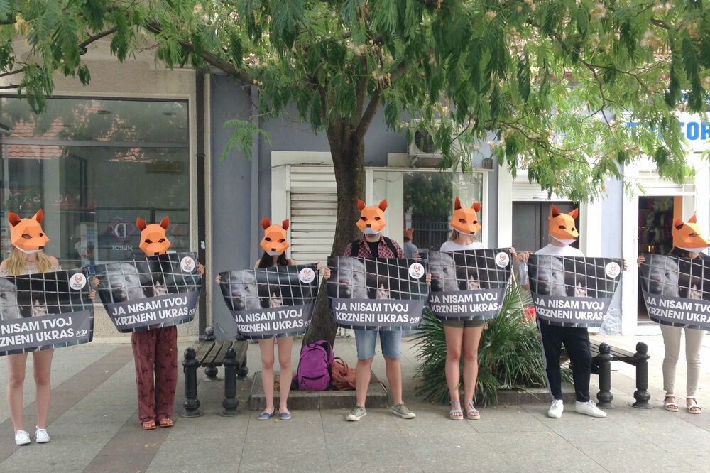 Krzno, Foto: Damira Kalač