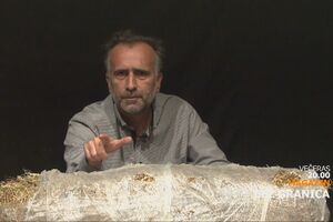 Bez granica: Nećemo vas previše teškim temama opterećivati, čisto...