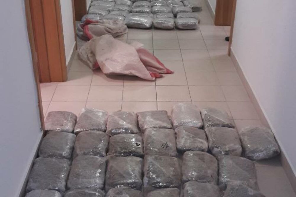 skank, Foto: Uprava policije