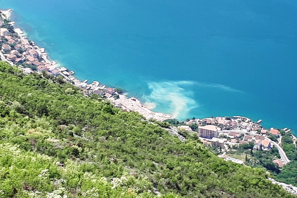 Dobrota zamućena voda, Foto: Čitalac Vijesti