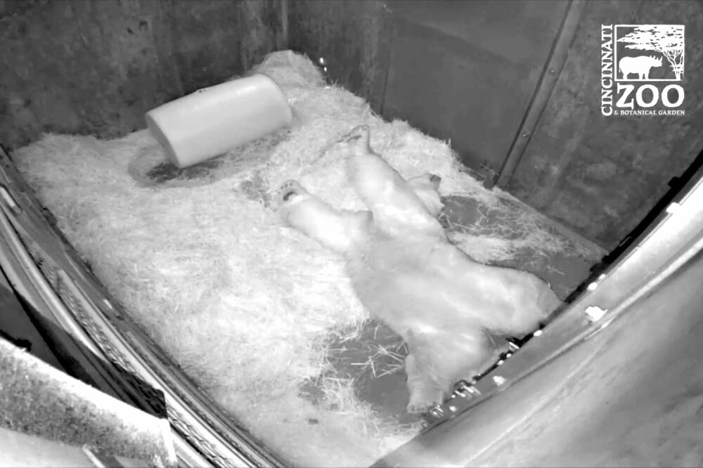 ZOO Berlin, Foto: Reuters