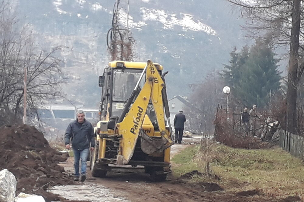 Drenovik, Foto: Dragana Šćepanović