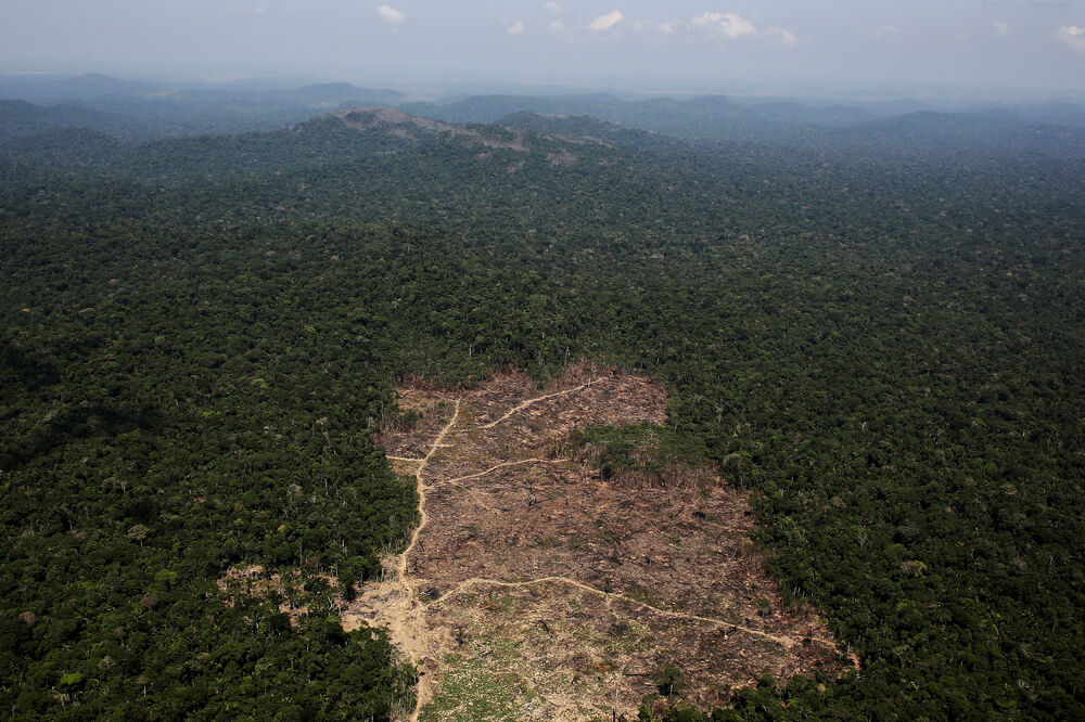 amazonija, Foto: Reuters