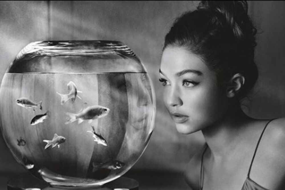 Điđi Hadid, Foto: Instagram