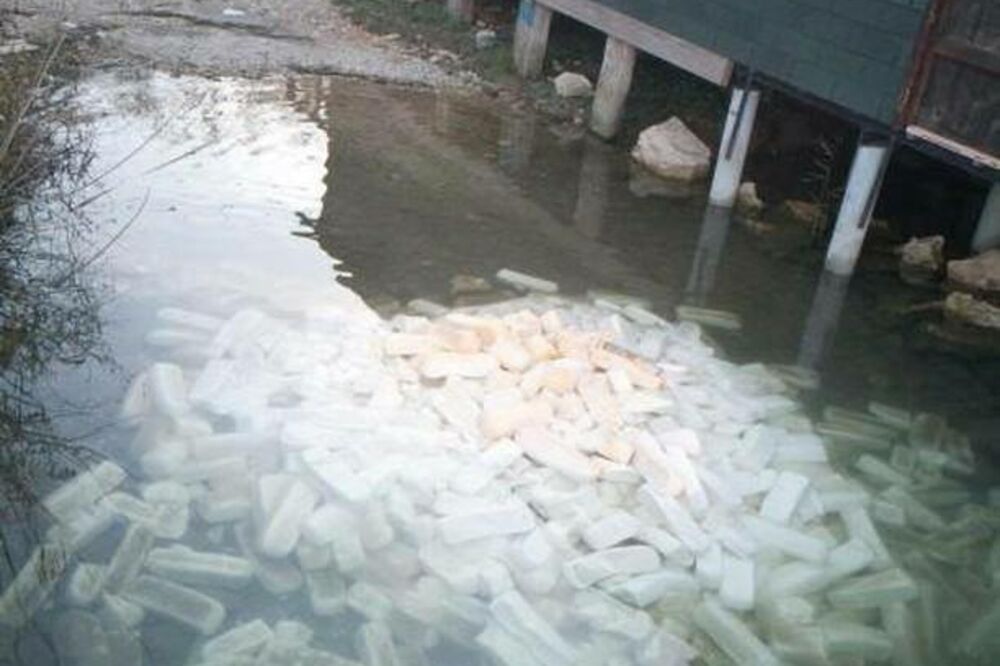 Pokvareni sir, Bojana, Foto: Podgorički vremeplov