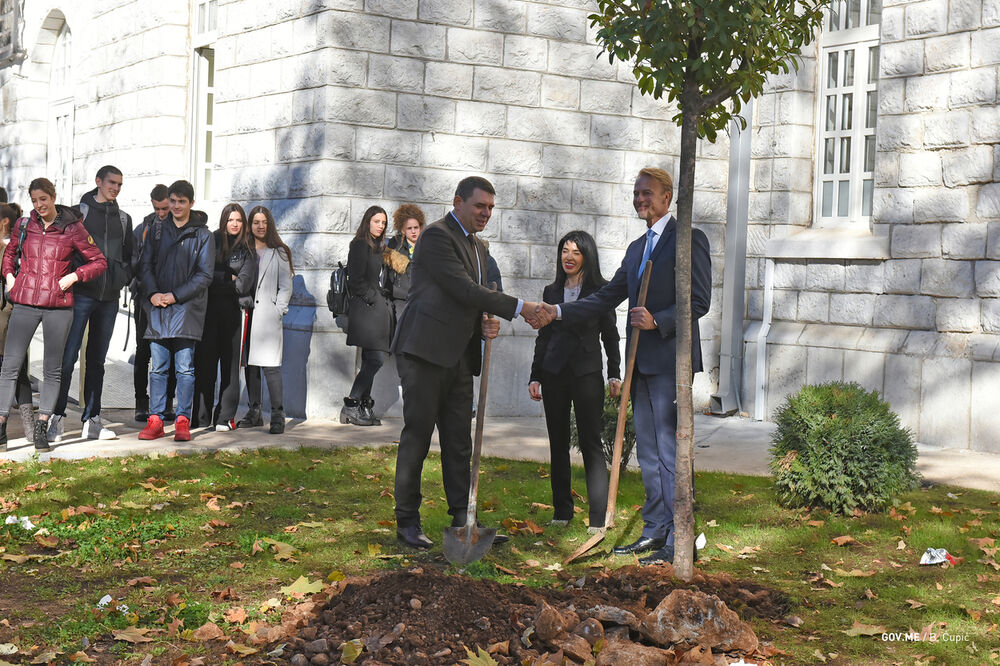 "Budi društveno aktivan. Daj doprinos, Gimnazija "Slobodan Škerović", Foto: SEKTOR ZA INFORMISANJE JAVNOSTI O EU I PROCESU PRISTUPANJA EU