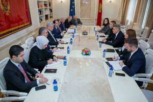 Parlamenti Crne Gore i Turske spremni za intenzivniju saradnju