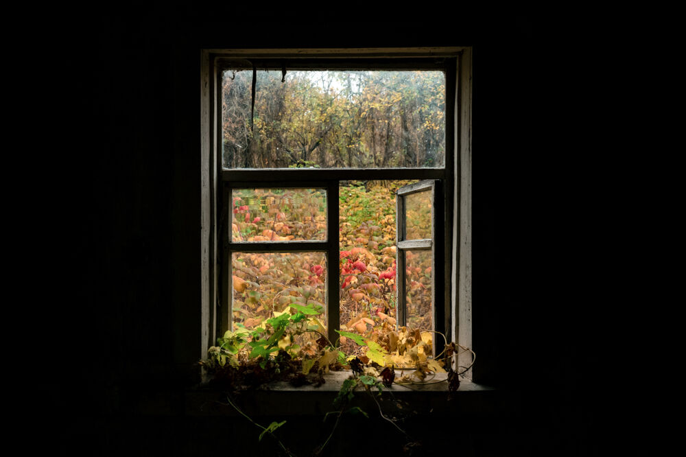 napuštena kuća, kuća, prozor, Foto: Shutterstock