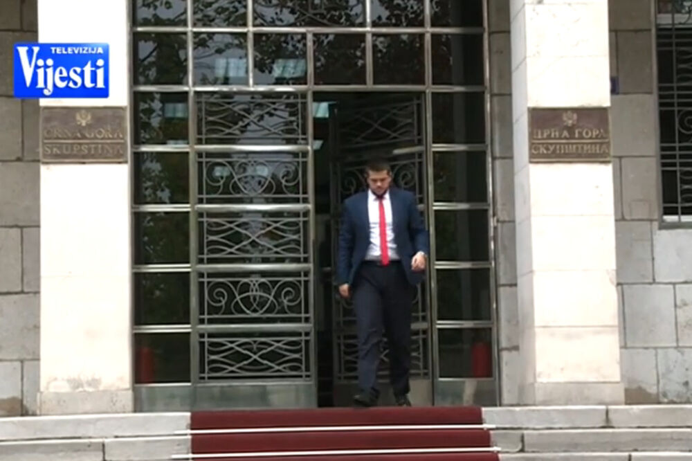 Miloš Nikolić, Foto: Printscreen (TV Vijesti)