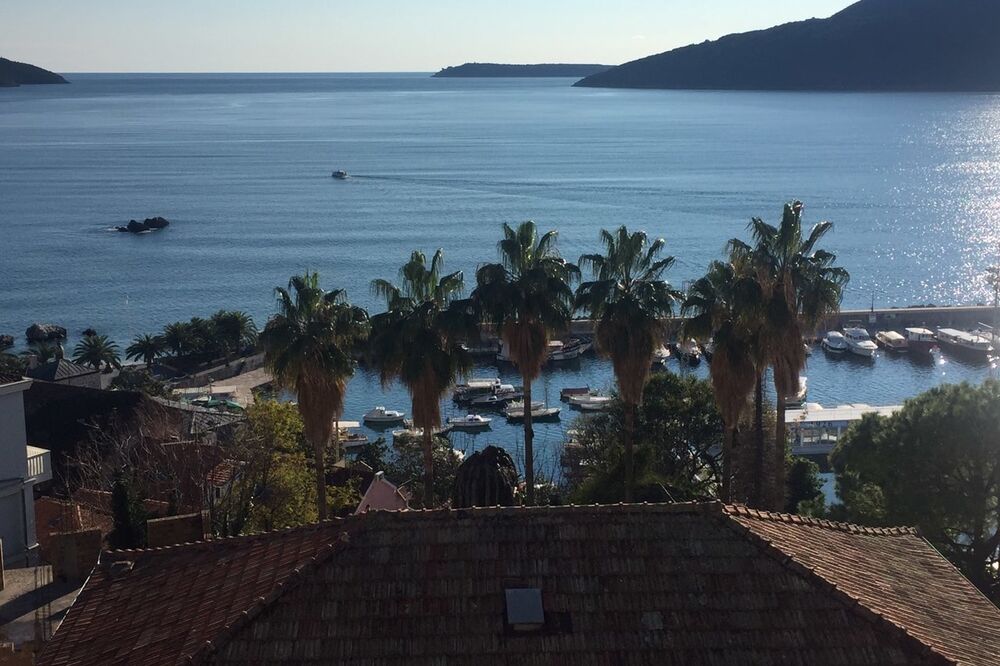 palme herceg novi, Foto: Slavica Kosić