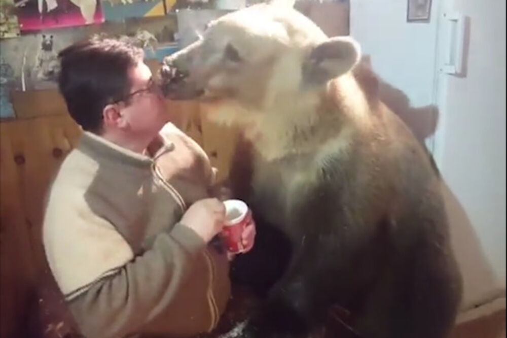 Medvjed, Foto: Screenshot