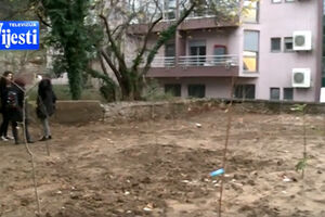 Škočnjak u dvorištu Gimnazije