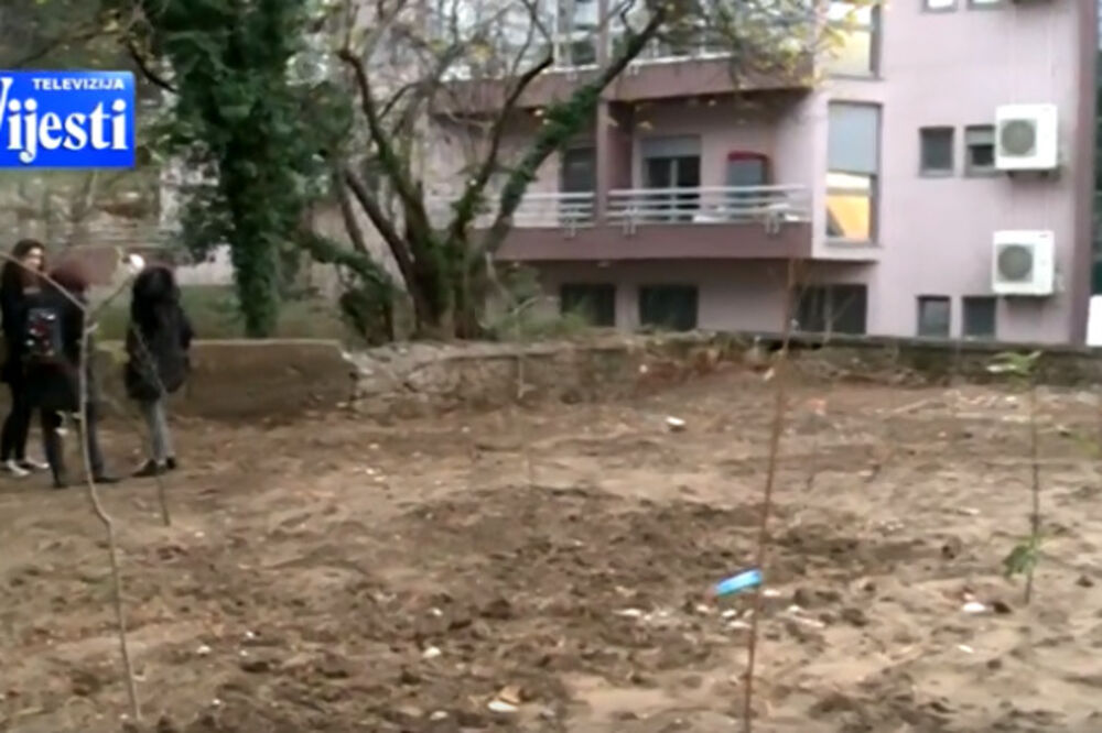 Voćnjak, Gimnazija, Foto: Printscreen (TV Vijesti)