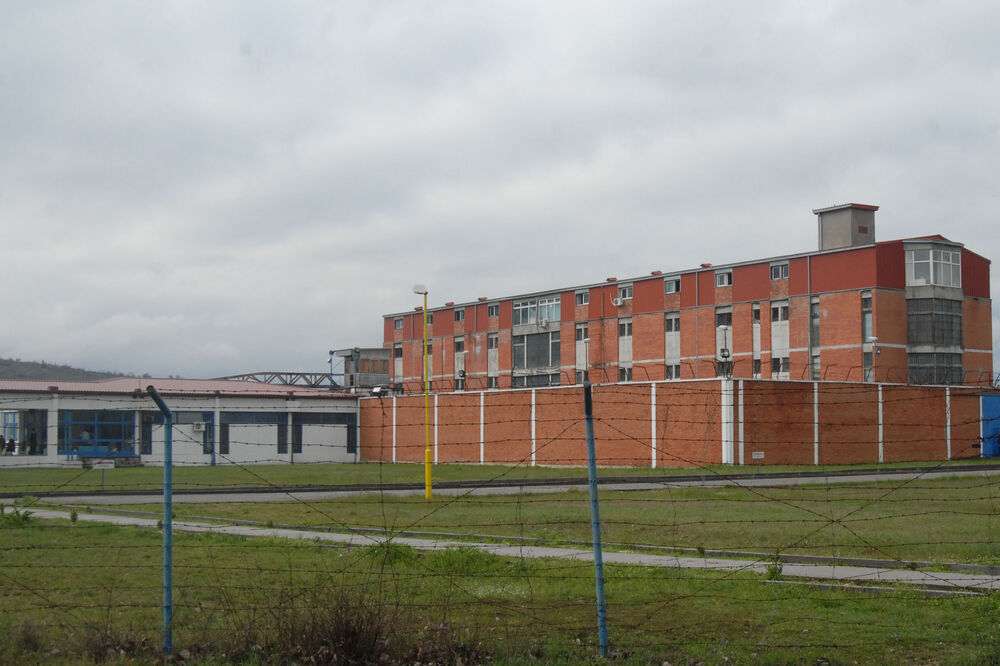 ziks, Foto: Savo Prelević